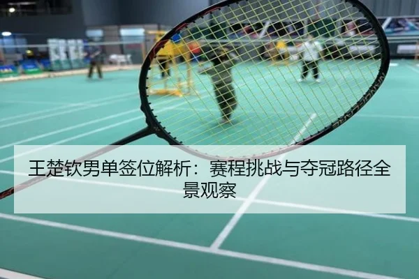王楚钦男单签位解析：赛程挑战与夺冠路径全景观察