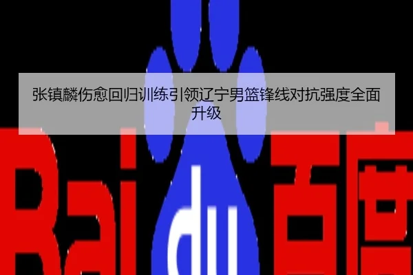 张镇麟伤愈回归训练引领辽宁男篮锋线对抗强度全面升级