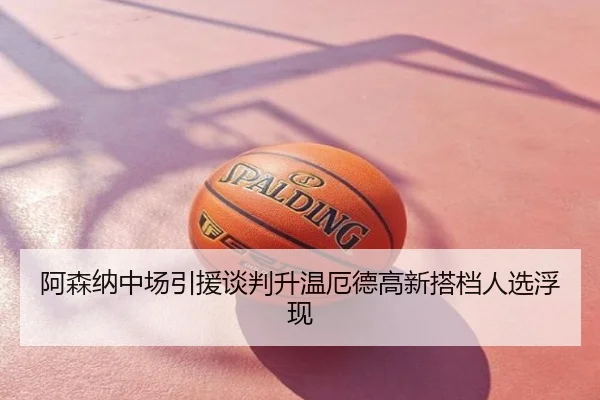 阿森纳中场引援谈判升温厄德高新搭档人选浮现